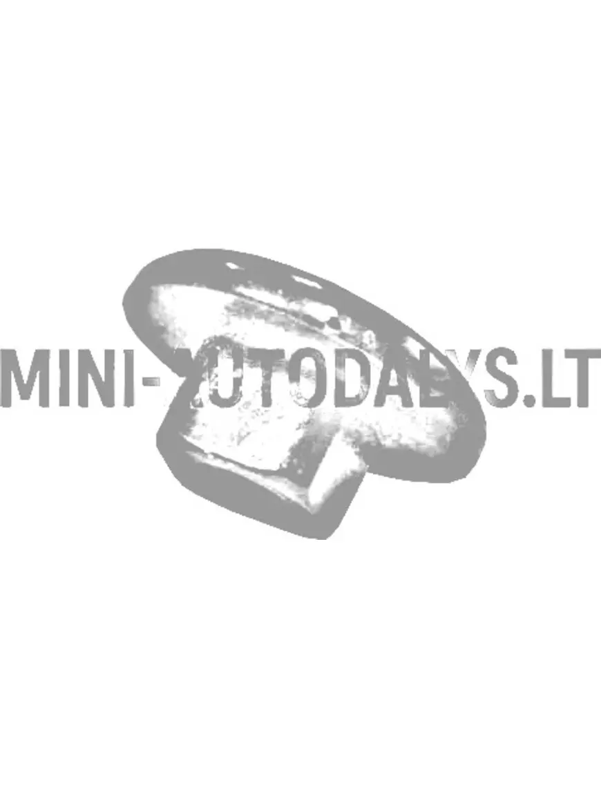 Aizmugurējo durvju montāžas uzgrieznis Microcar Dėl Pirmiausia