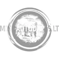 Microcar riteņu diska vāciņš / Dėl