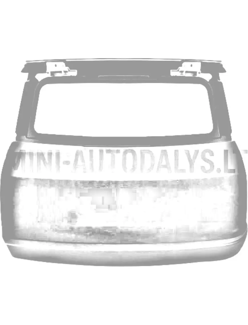 Mikroautobusu aizmugurējās durvis MGO1 / MGO2