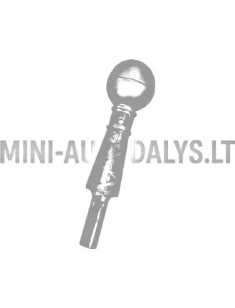 Pārnesumu pārslēgšanas rokturis Microcar MC1 / MC2 (melns)