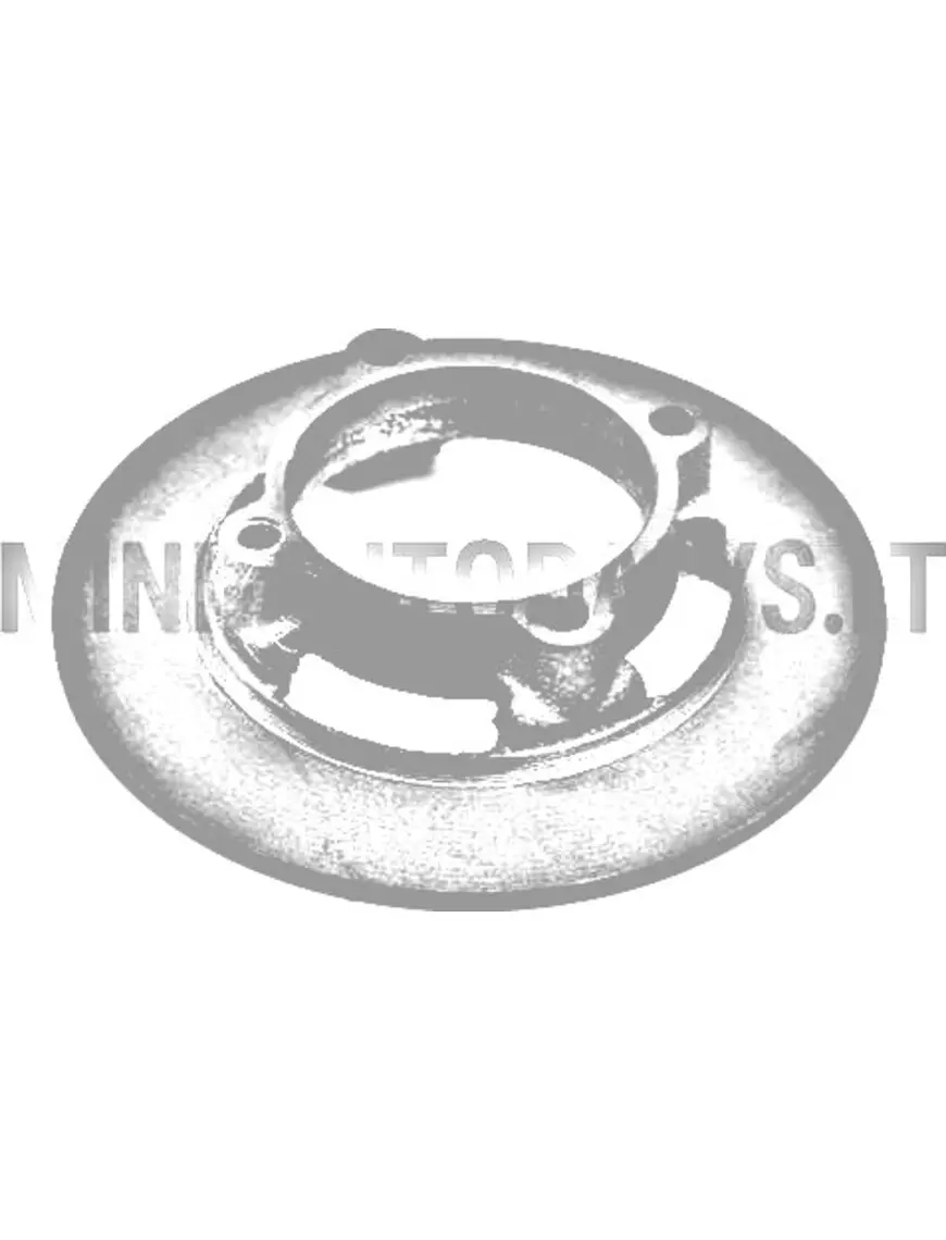 Priekšējais bremžu disks Microcar Virgo / MC1 / MC2 / JDM Titane (Ø 170 mm)