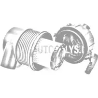 Gaisa filtra korpuss Lombardini FOCS / Progress / DCI