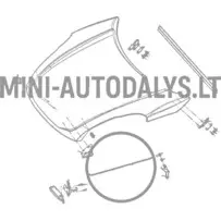 Stūres stieņa uzgalis Ligier JS50 / JS50L Ph1