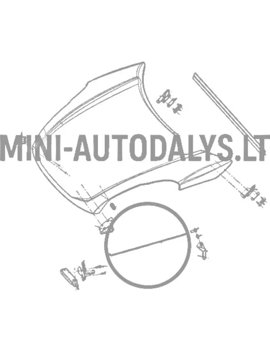 Stūres stieņa uzgalis Ligier JS50 / JS50L Ph1