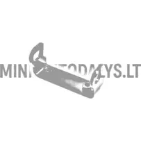 Palīgmotors Priekšējais Ligier