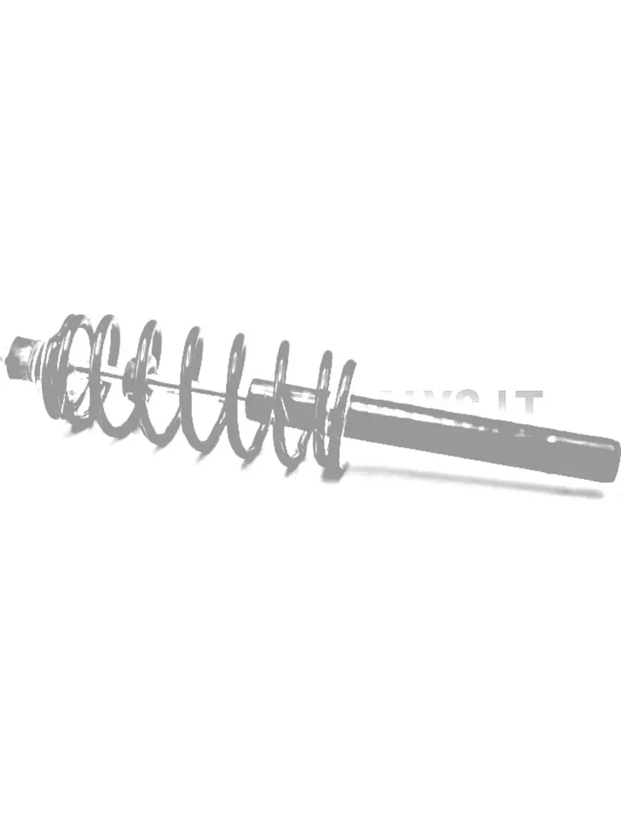 Priekšējais amortizators Ligier IXO S Plus