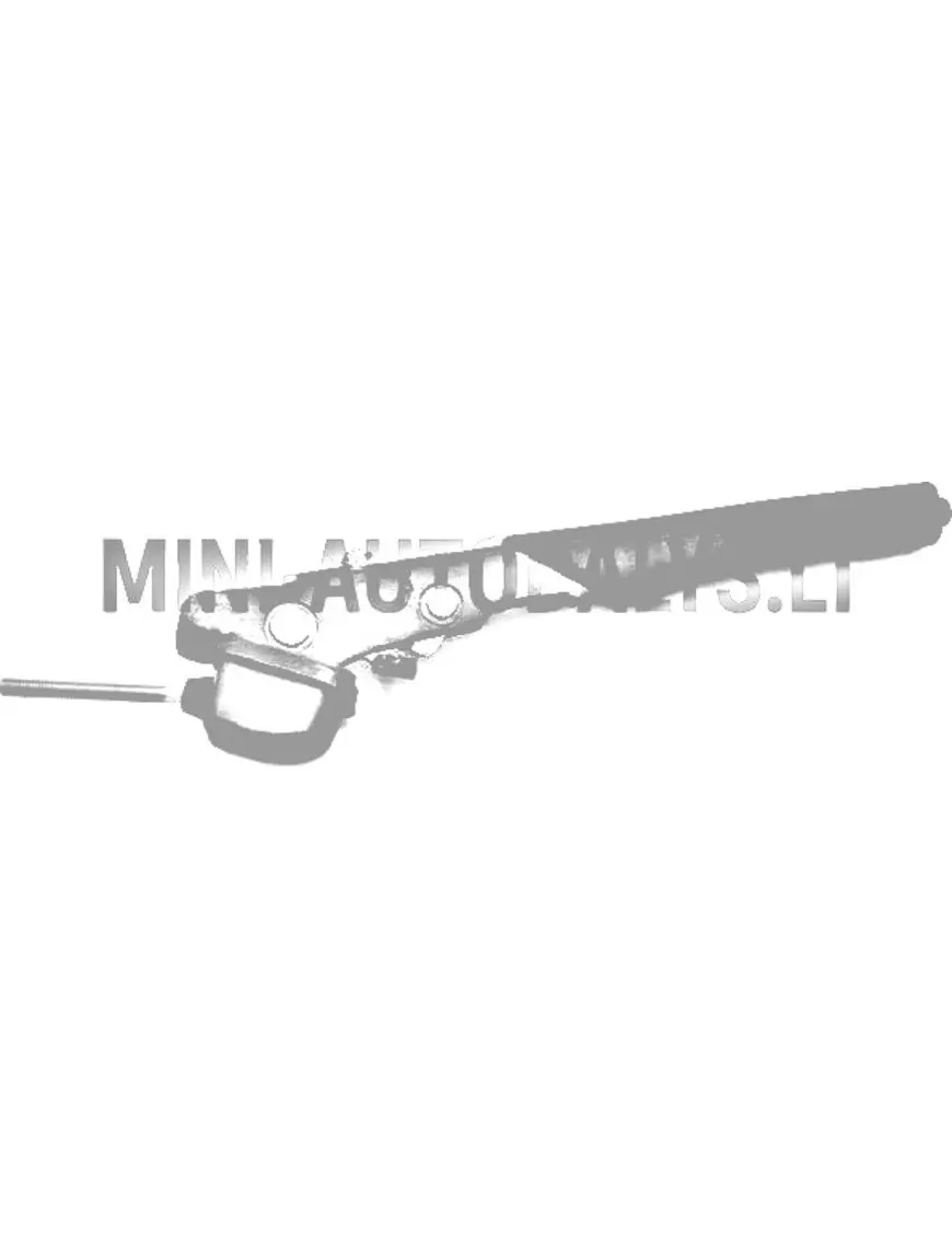 Rokas bremzes svira Microcar / Ligier