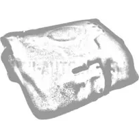 Skaņas izolācijas vāks Ligier / Microcar