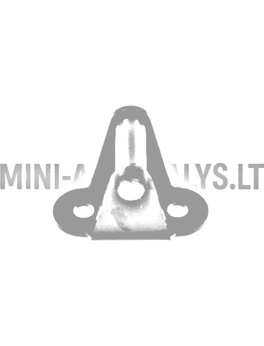 Ligier / Microcar aizmugurējo durvju slēdzenes āķis