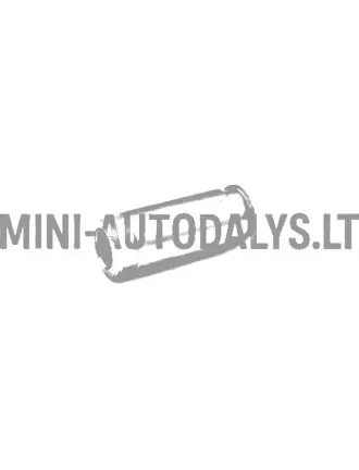 Magistrāles virzošā aizmugurējā suporta Ligier