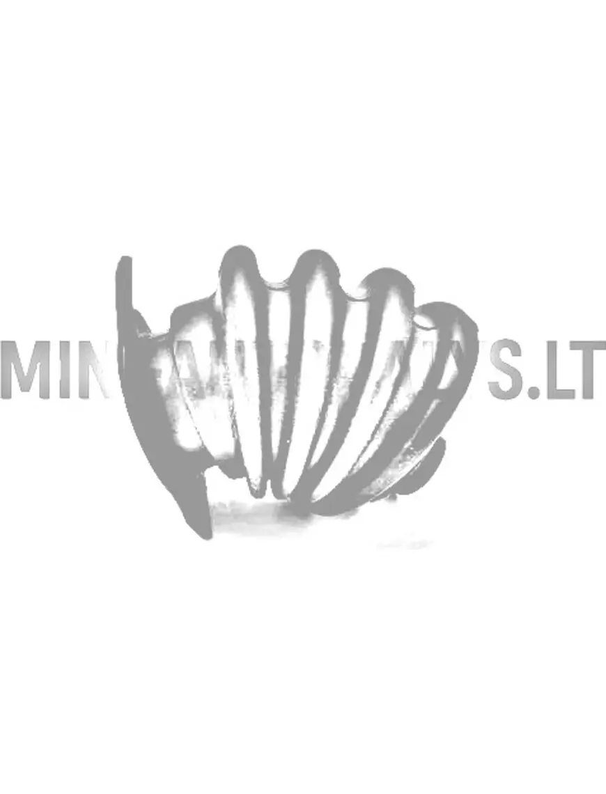 Rokas bremzes svira Ligier X-too Max / S / R / RS