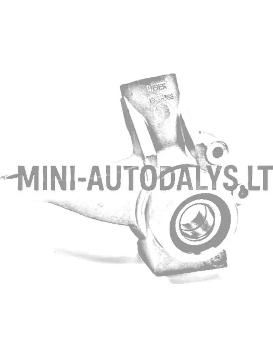 Labās puses stūres stieņa uzgalis Ligier IXO