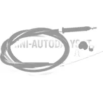 Akceleratora / droseles trose Ligier Nova