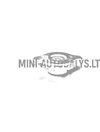 Radiatora vāciņš Ligier Ambra