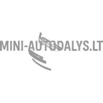 Priekšējā bufera apakšējā režģis Ligier IXO 1