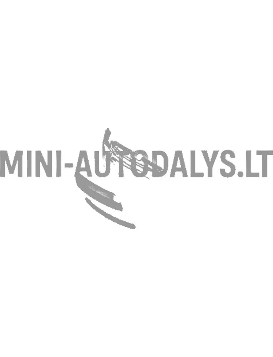 Priekšējā bufera apakšējā režģis Ligier IXO 1