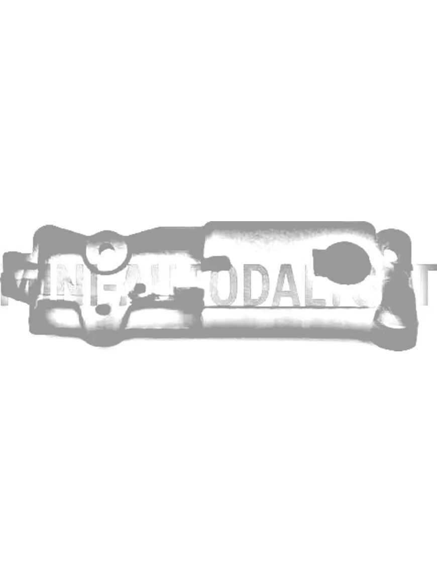 Aizmugurējo durvju slēdzenes turētājs Ligier / Microcar