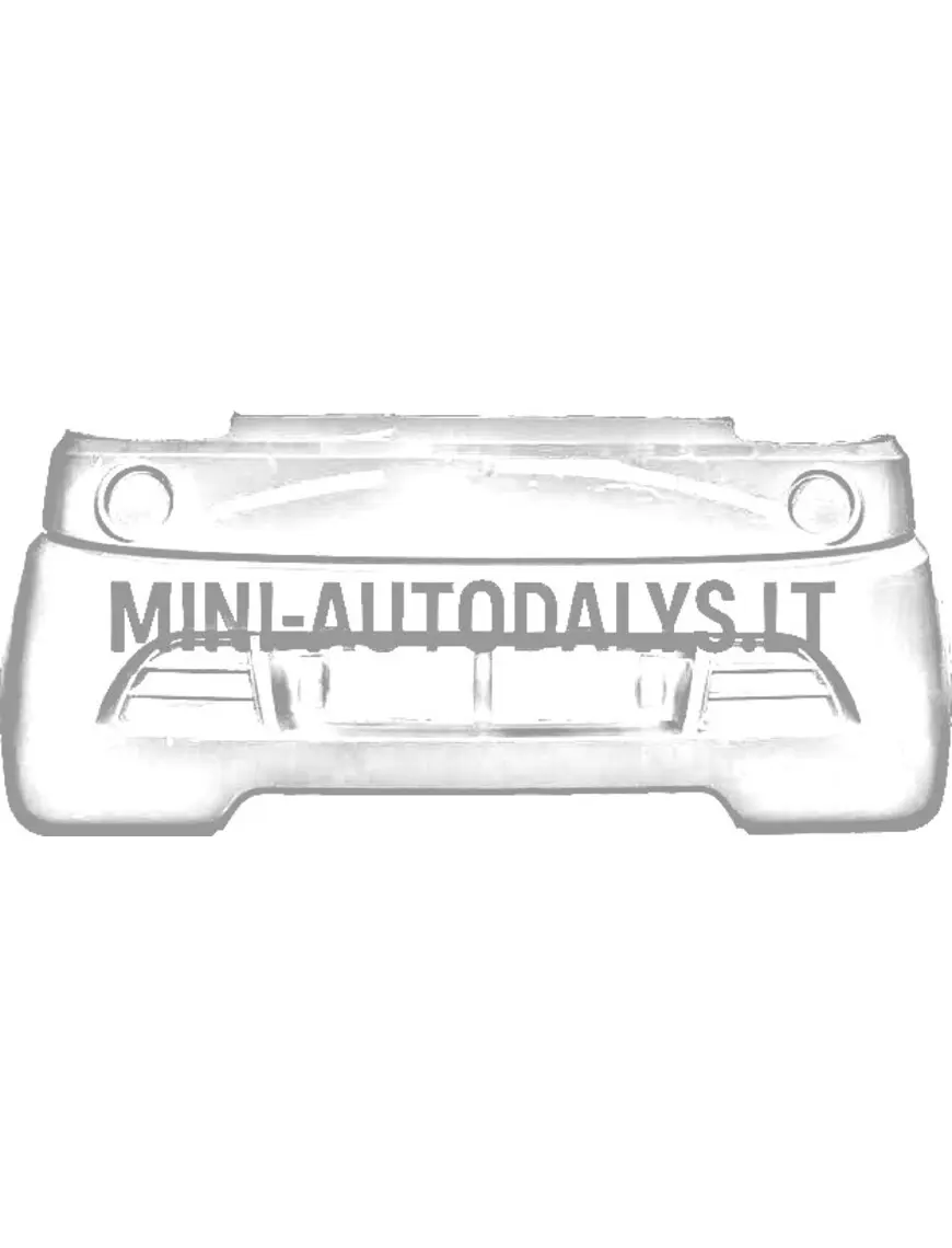 Priekšējais bamperis Ligier Flex