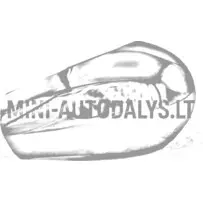 Ārējā spoguļa pārsegs Ligier / Microcar (hromēts)