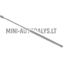 Aizmugurējo durvju amortizators Ligier JS60