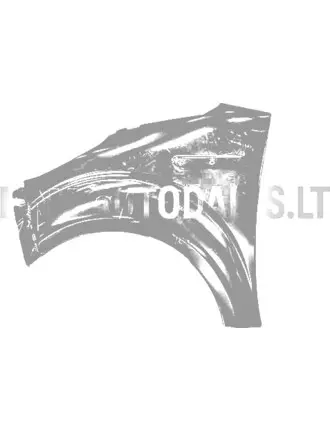 Kreisais priekšējais spārns Ligier JS50/JS50L Ph2/Ph3 (intensīvi melns)