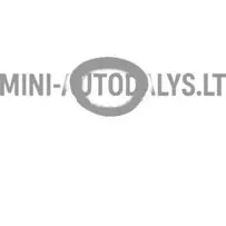 Riteņa pārsegs Ligier JS50L Ph3