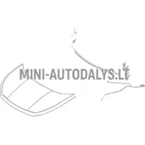 Kapota eņģe priekšējā labā Ligier JS60