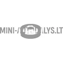 Luktura atbalsta gumija Ligier JS60