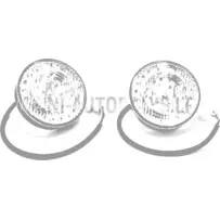 Aizmugurējais lukturis + mirgojošu gaismu komplekts Ligier / Microcar