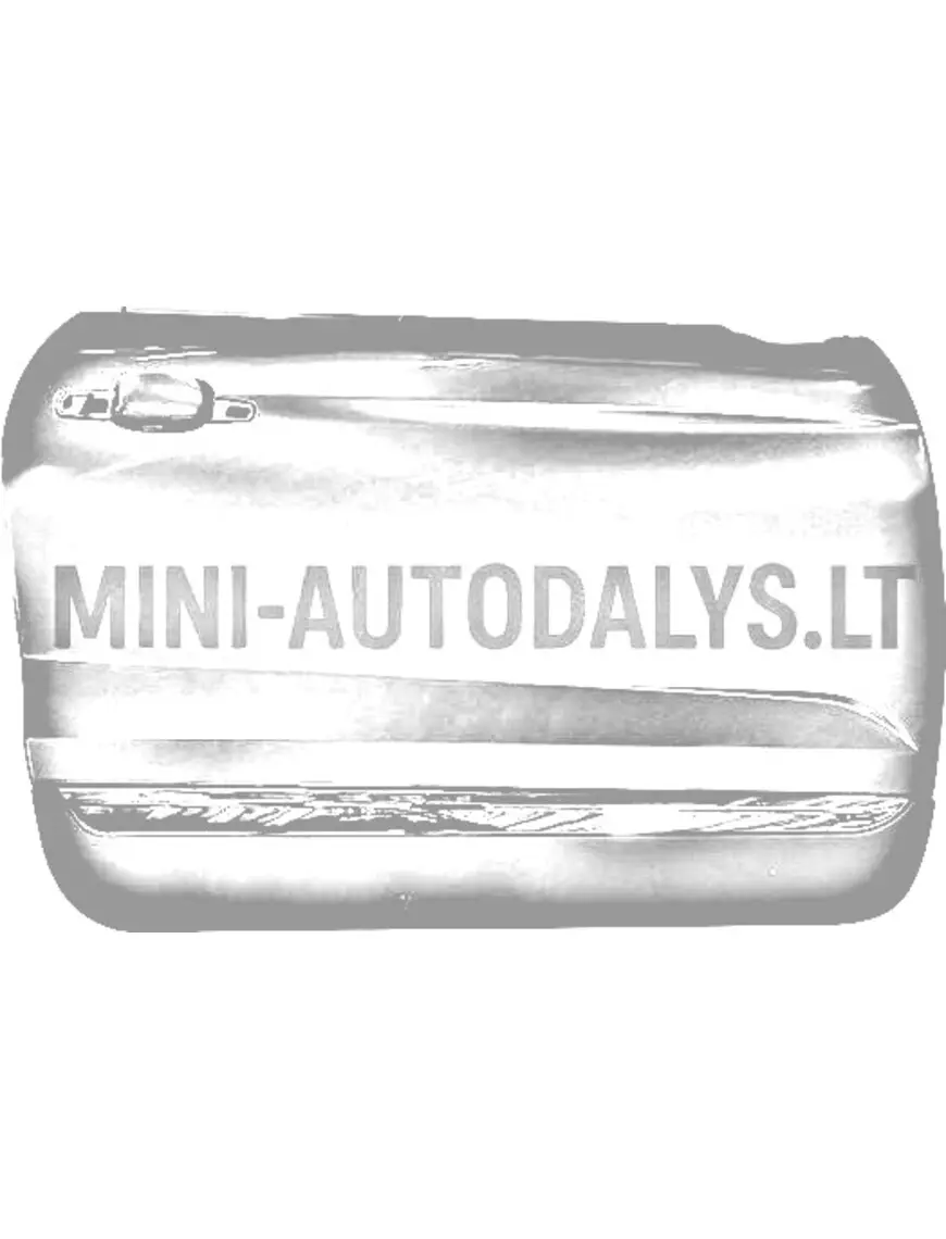 Ligier JS60 labās puses durvju panelis (grafīta pelēks)