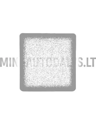 Salona filtrs Ligier Myli