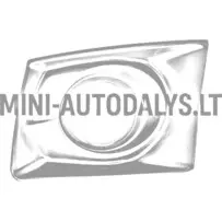 Režģa turētājs bez dienas gaismām Ligier IXO priekšā labajā pusē (minerālu pelēks)