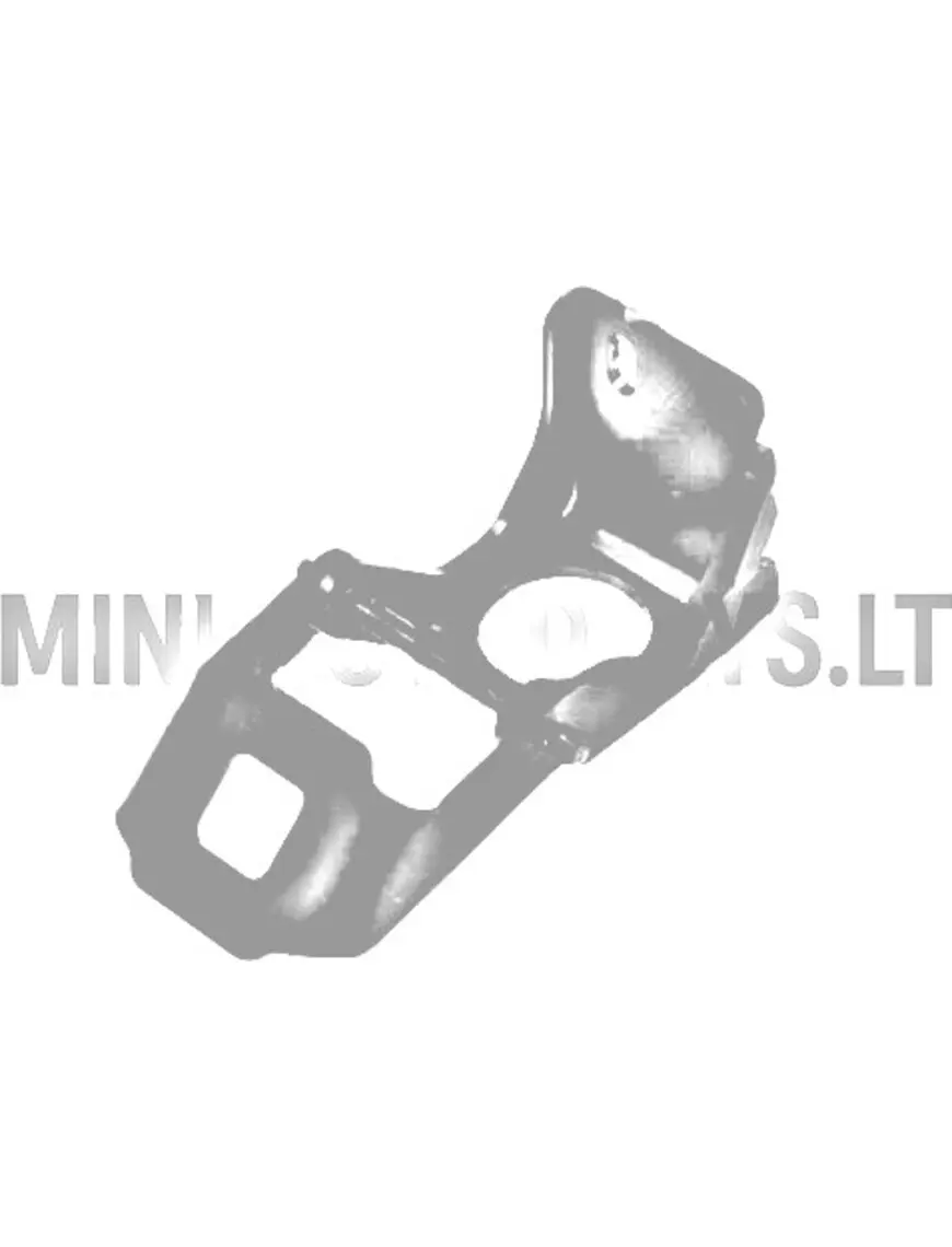 Aizmugurējo durvju eņģe Ligier / Microcar