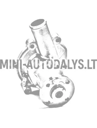 Ūdens sūknis Casalini Mitsubishi