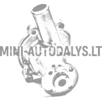 Ūdens sūknis Casalini Mitsubishi