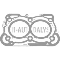 Cilindra galvas blīve Lombardini 442 / 492 DCI (2 caurumi)