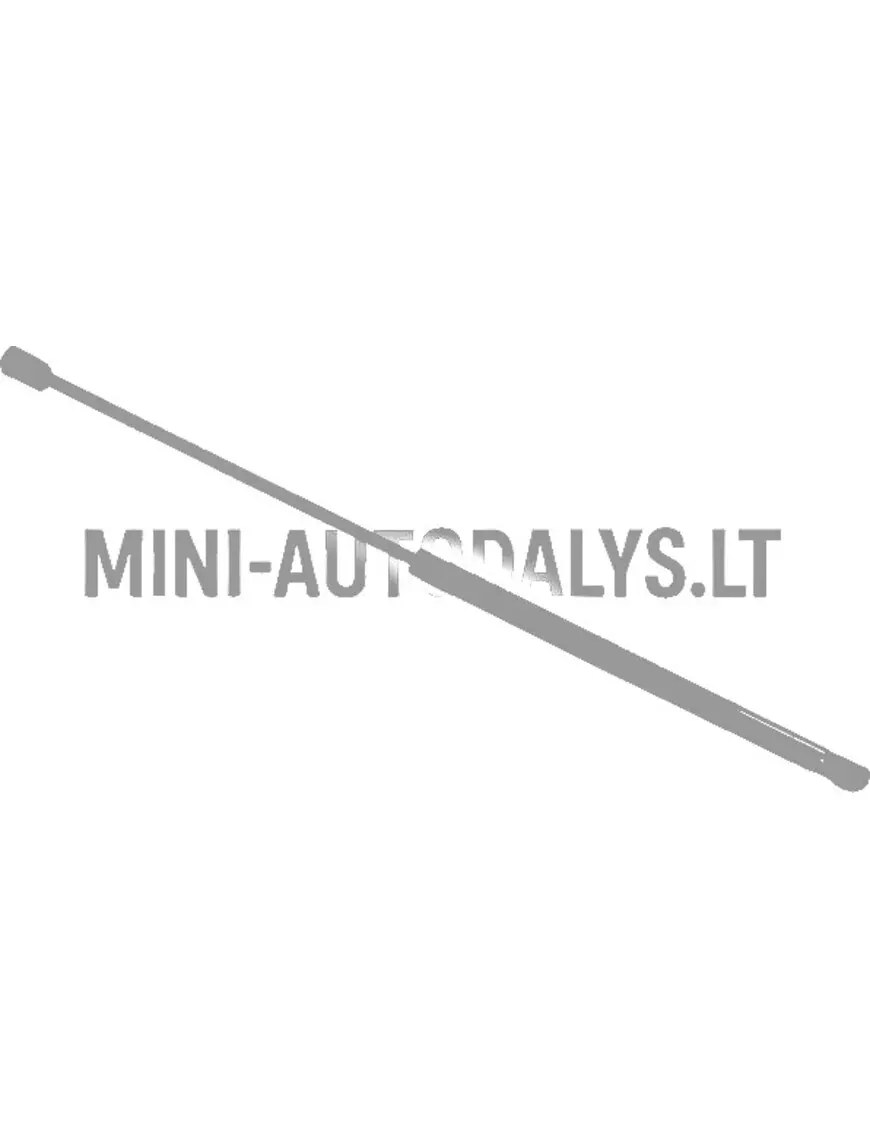 Aizmugurējo durvju amortizators Microcar MGO