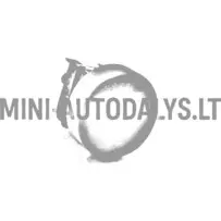 Avārijas gaismas slēdzis Aixam 2005-2010