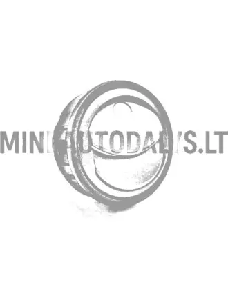 Ligier / Microcar gaisa režģis