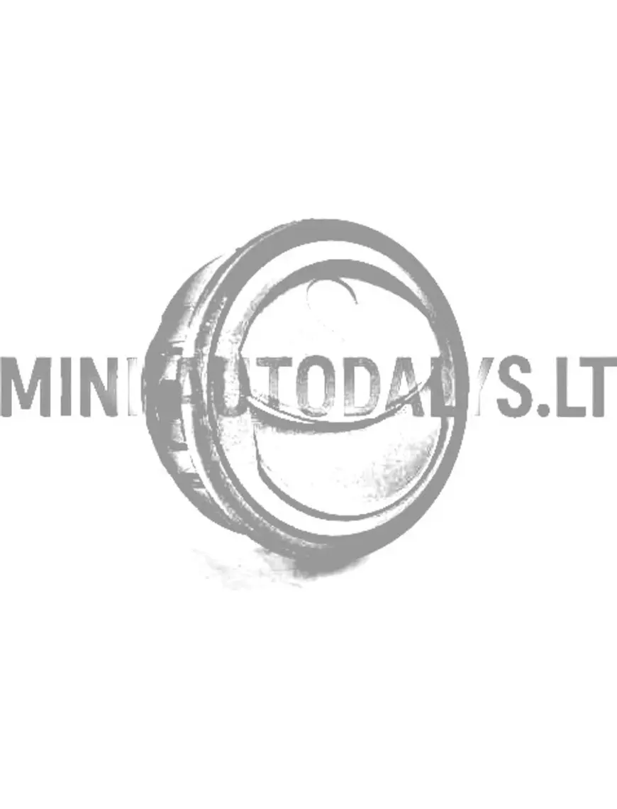 Ligier / Microcar gaisa režģis