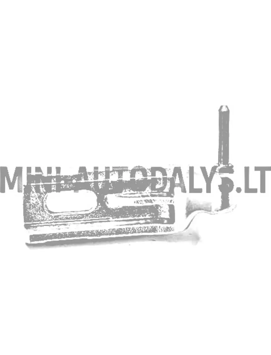 Kreisās puses durvju eņģe Ligier IXO