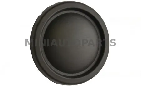 Pārsegs miglas luktura priekšējam buferim Aixam