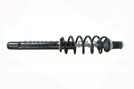 Priekšējais amortizators Ligier / Microcar / Dėl | Mini Auto Parts