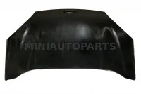 Pārsegs Microcar MGO2 #20256 | Mini Auto Parts