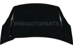 Pārsegs Ligier IXO #20374 | Mini Auto Parts