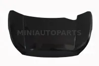 Pārsegs Ligier JS50/JS50L Ph2/Ph3 (nekrāsots)