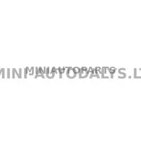 Bremžu līnijas komplekts aizmugurējais Micrcocar M #20046 | Mini Auto Parts