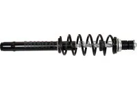 Chatenet priekšējais amortizators | Mini Auto Parts