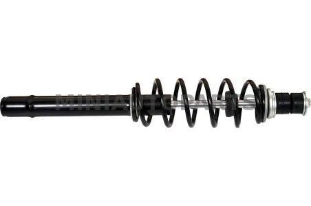 Chatenet priekšējais amortizators | Mini Auto Parts