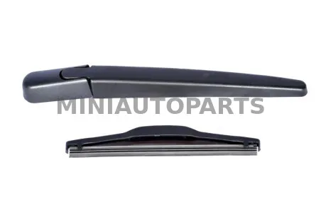 Rokturis / aizmugurējais birste aixam / ligier Microcar M.GO / M8